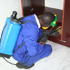 Benefits of a professional pest control services in Kenya