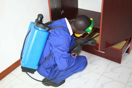 pest control services in Kenya